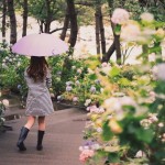 梅雨　いつからいつまで　関東　画像